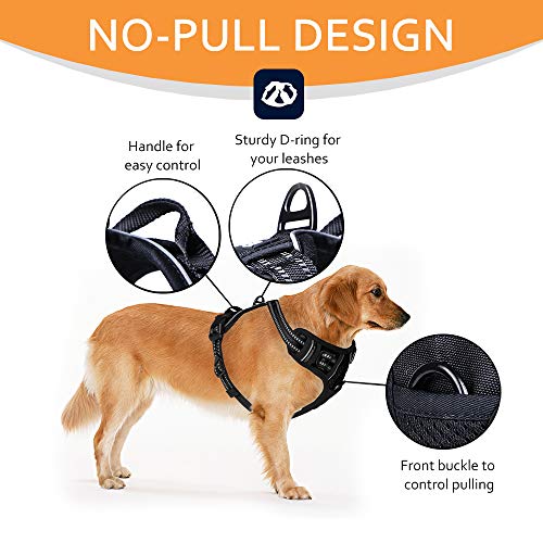 Rabbitgoo No Pull Dog Harness