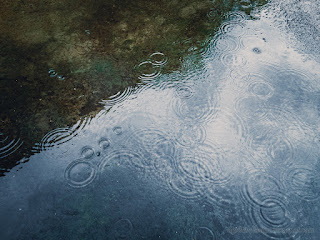Small Surface Water Raindrops Ripple On The Yard Of The House At Seririt Village, North Bali, Indonesia