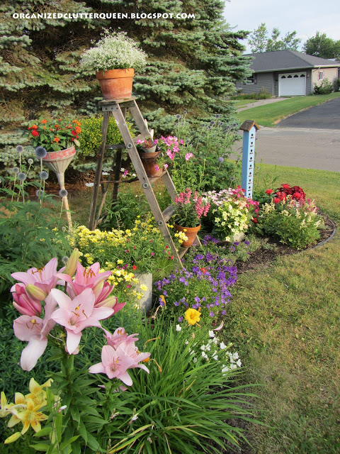 The Front Yard Flower Border 2012-2020