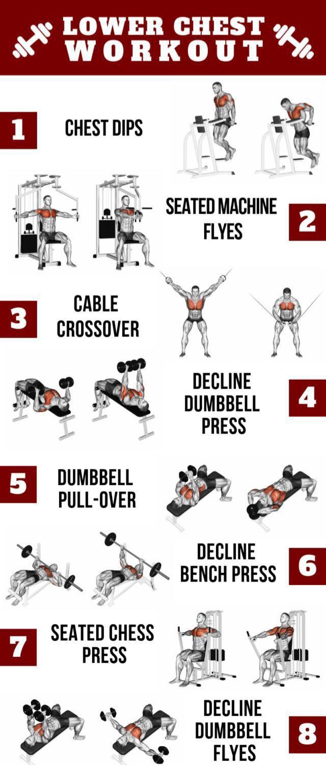 Complete Lower Chest Workout for Shape and Cutting GYM ONLINE MARKET