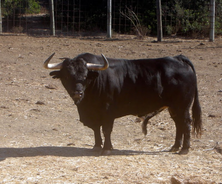 Diacono, de Corbacho Grande