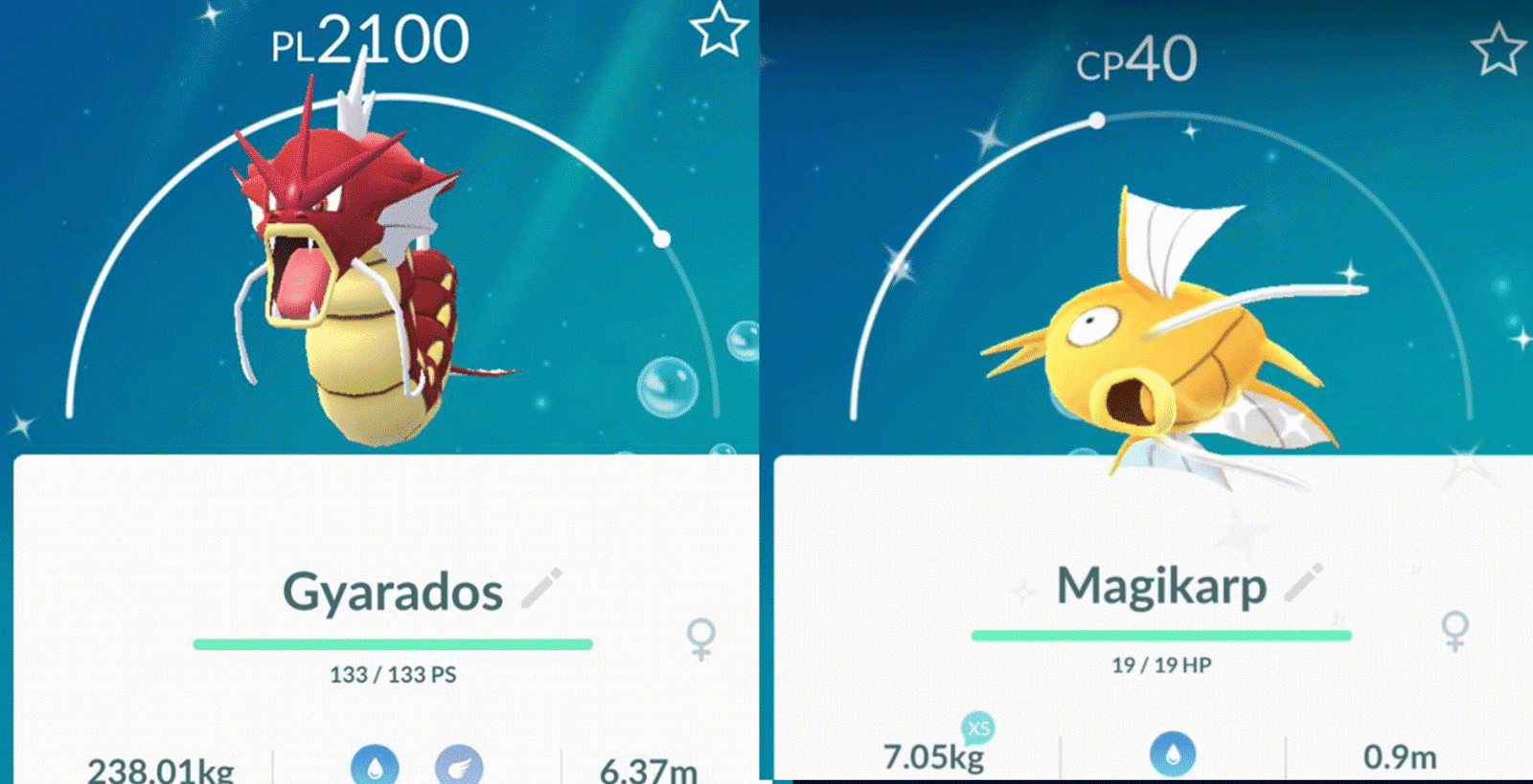 How I Caught Lots of Shiny Magikarp in Pokemon GO Really Fast Yhan Game