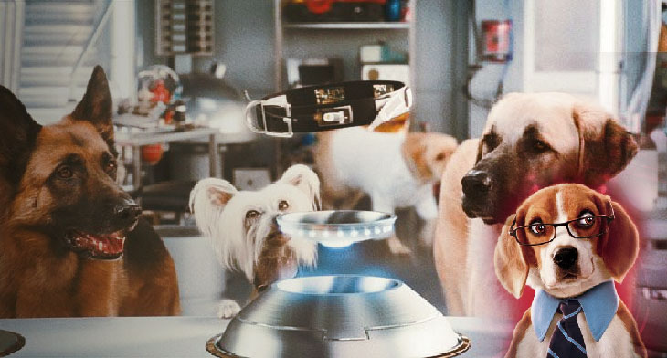 Cats & Dogs: The Revenge of Kitty Galore in Tamil Hollywood Spy comedy