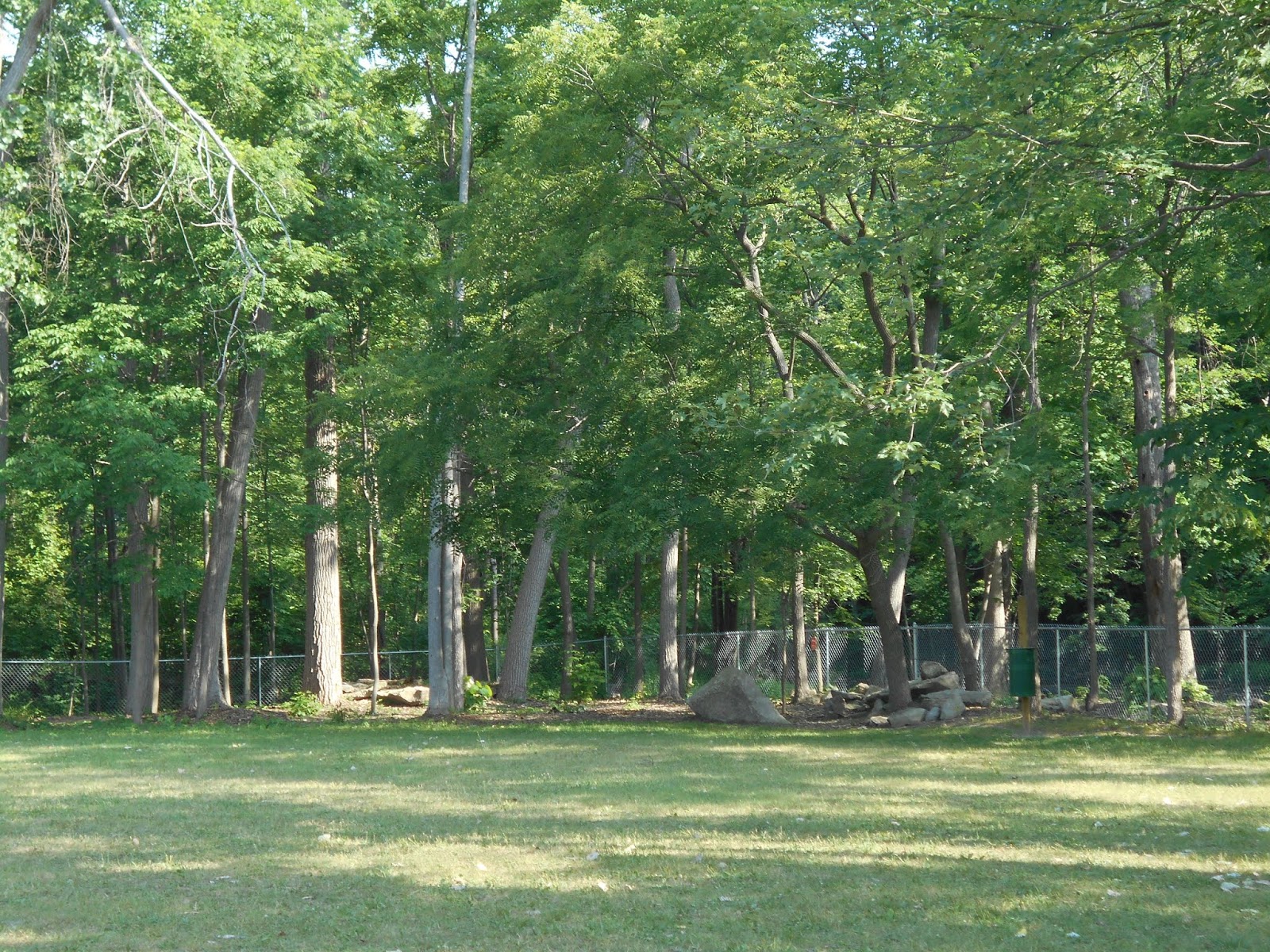 New York State of Mind SHORTSVILLE, NY DOG PARK