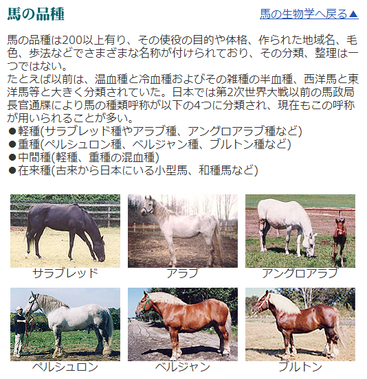 馬の品種