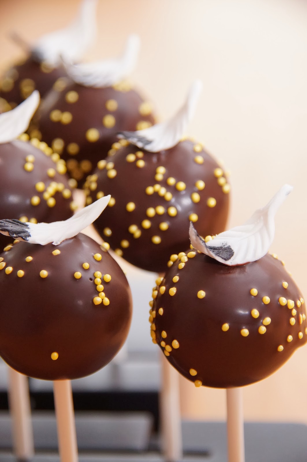 WibCakes Zur Indianerparty...