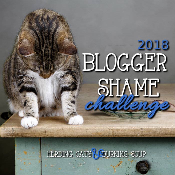 Blogger Shame Challenge