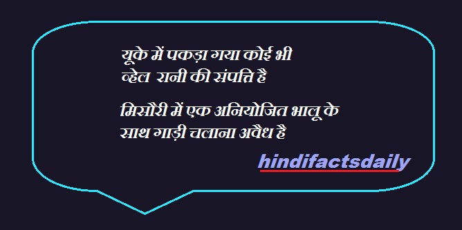 Funny Laws In Hindi Funny Weird Laws In Hindi Funny Facts In Hindi 2020 Hindi Facts Daily It was once used for sending messages and racing. funny laws in hindi funny weird laws