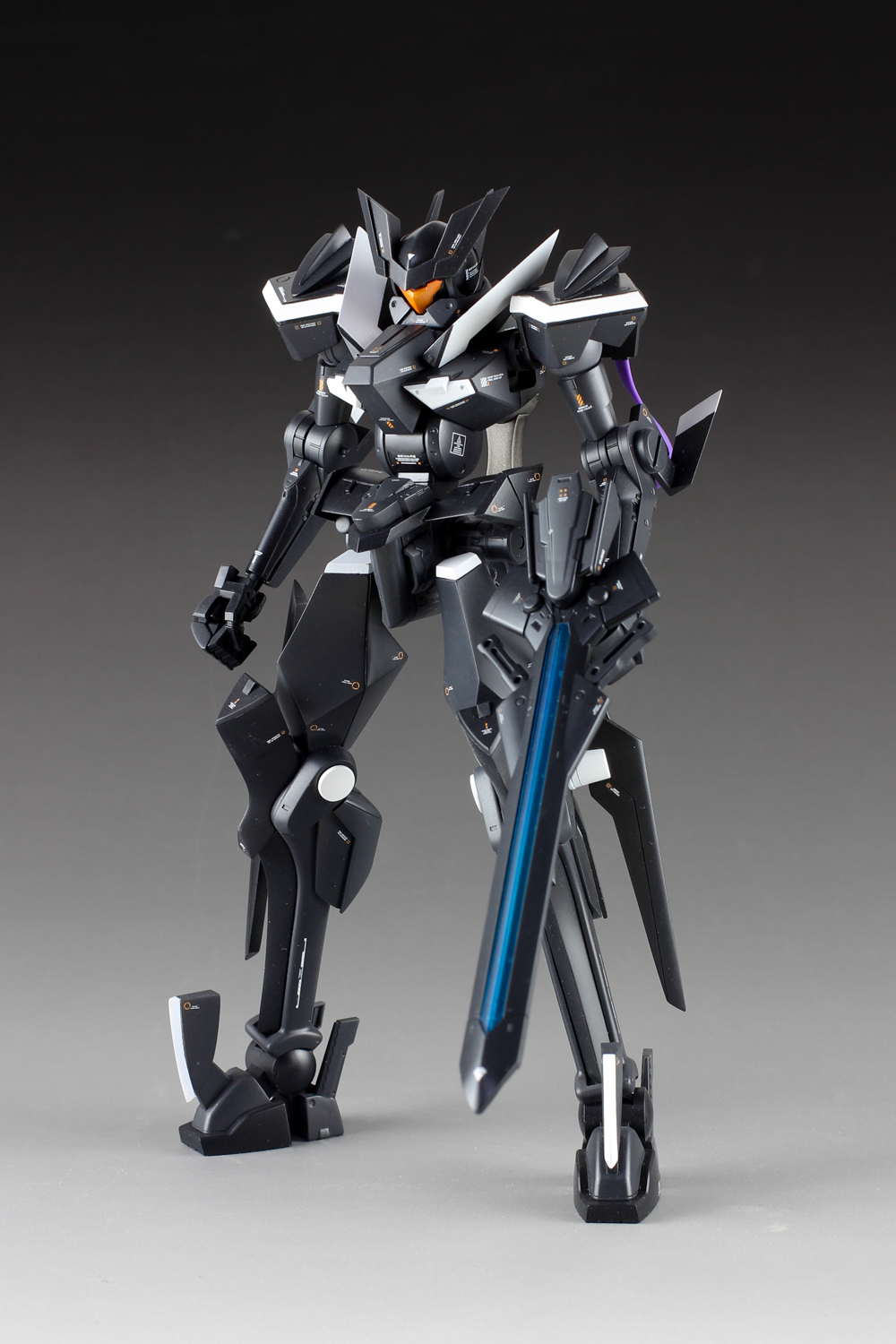 GUNDAM GUY 1/100 GN Flag Customized Build