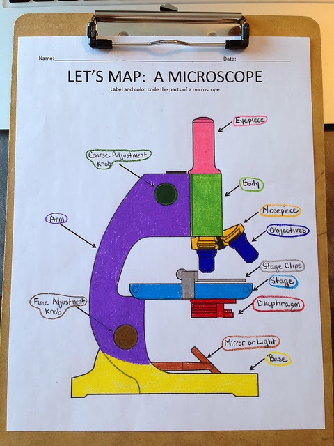 Different Dog A Simply Beautiful Life Make Your Own Microscope different-dog-a-simply-beautiful-life-make-your-own-microscope