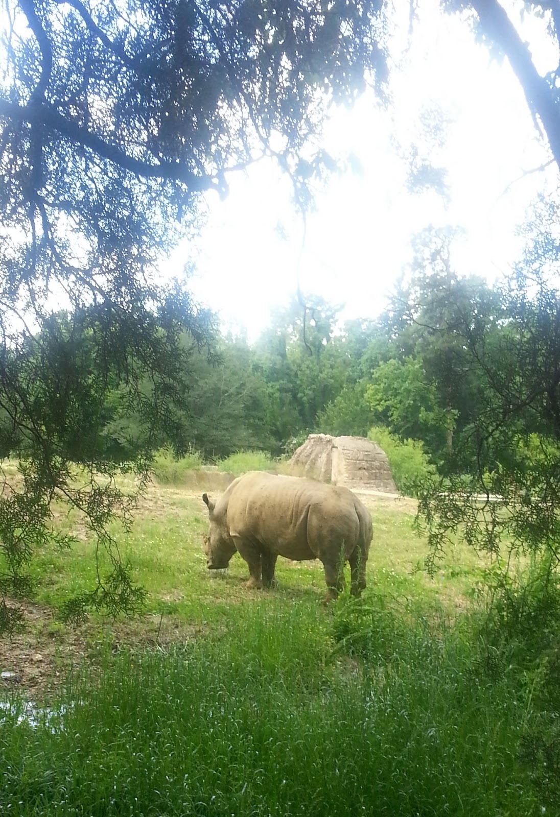 Rockhounding Around Jackson Zoo, Jackson Mississippi