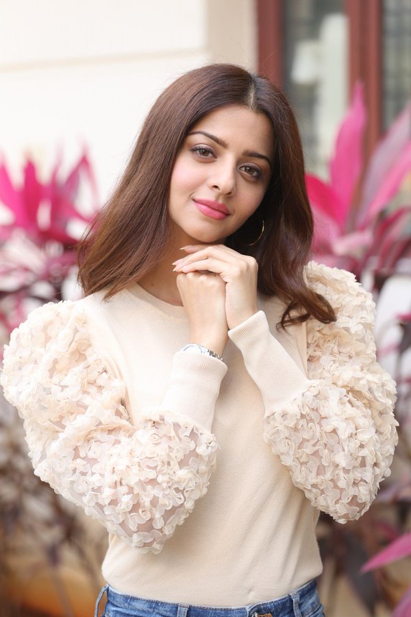 Ruler Movie Latest Photos Actress Vedhika