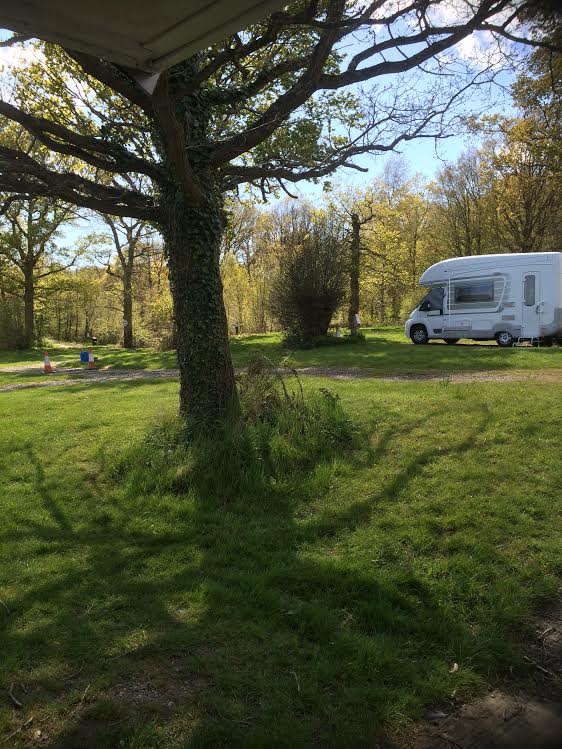 The Gate Lodge Campsite Tenterden Kent