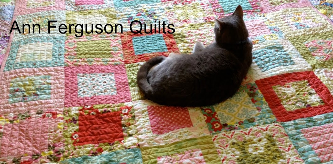 Ann Ferguson Quilts