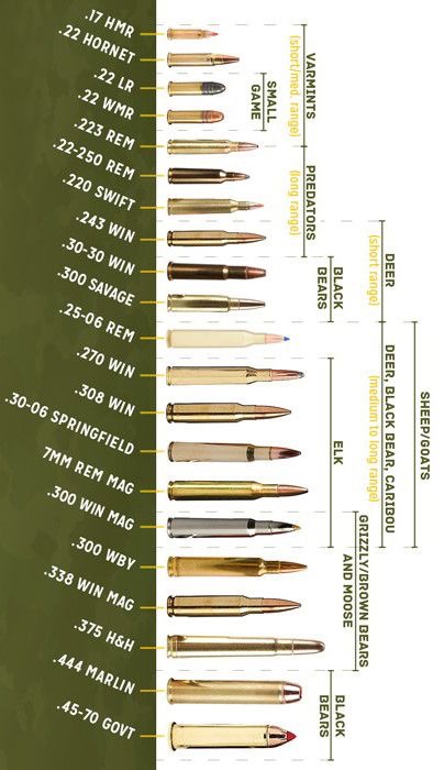 Ammo and Gun Collector: Ammo Size Comparison Charts