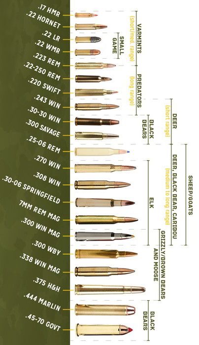 Vintage Outdoors: Ammo Size Comparison Charts