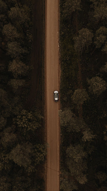 Drone Aerial Shot, Forest, Trees, Car, Road Drone Aerial Shot, Forest, Trees, Car, Road