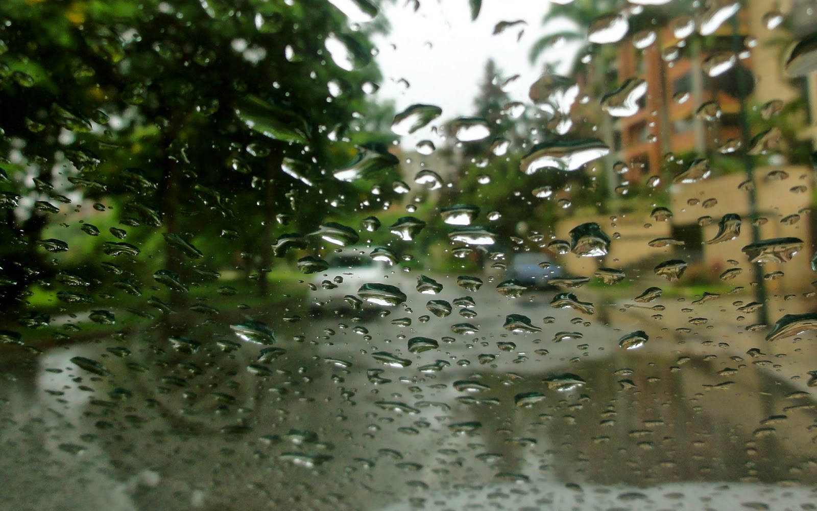 Целый день шел мелкий дождь. Мокрый дождь. Дождь за окном фото. Ливень. Капли дождя на окне.