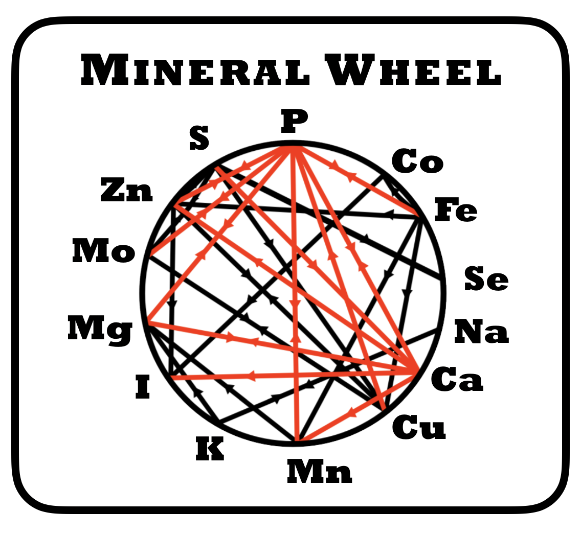 Doc Holliday's Blog Copper Toxicosis in Sheep