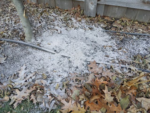 Spreading Hardwood Ash As Tree Fertilizer