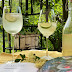 Jarabe de Sauco (Holunderblütensirup)