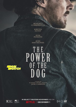The Power of The Dog