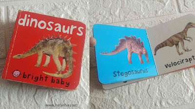 buku bright baby dinosaurs