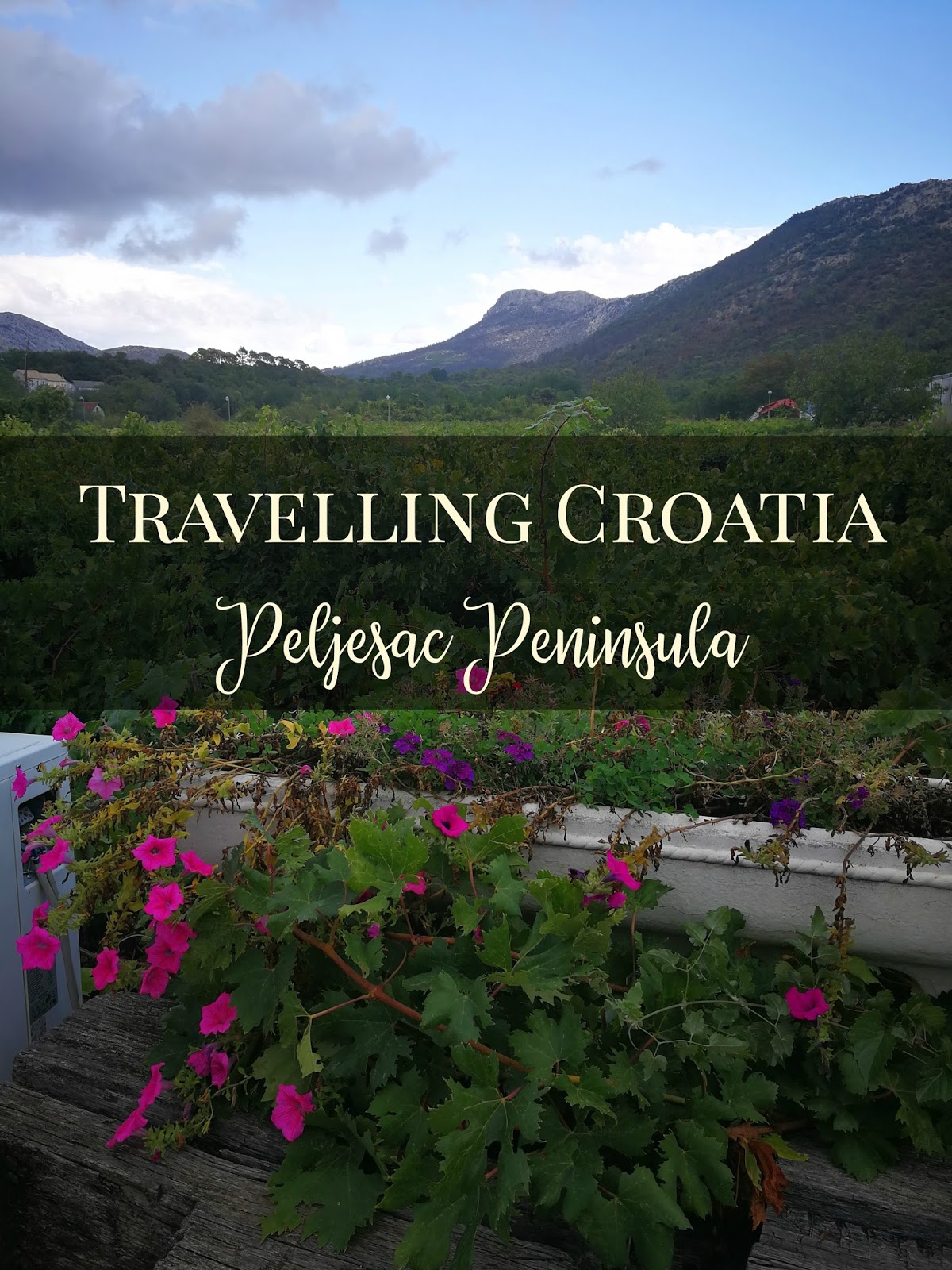 Travelling Croatia - Wine Tasting on the Peljesac Peninsula
