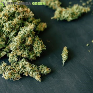 Medical Marijuana Card Melbourne