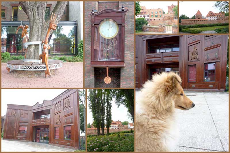 Zapiski Przyjaciela Collie Wyprawa Po Folgę