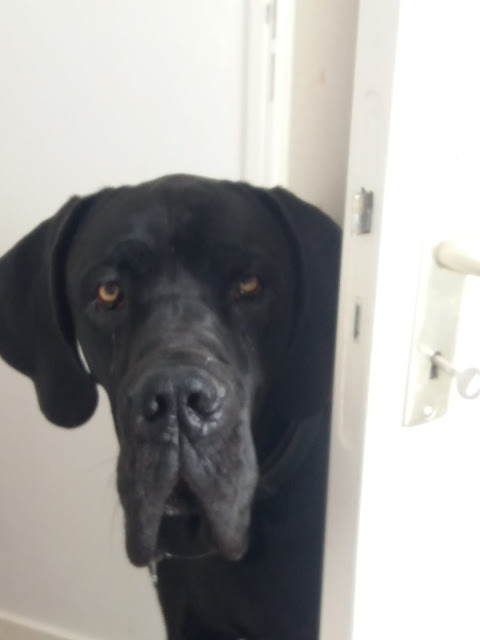 Z I M I S E I T E Avenches Amphitheater Murten Nidelkuchen