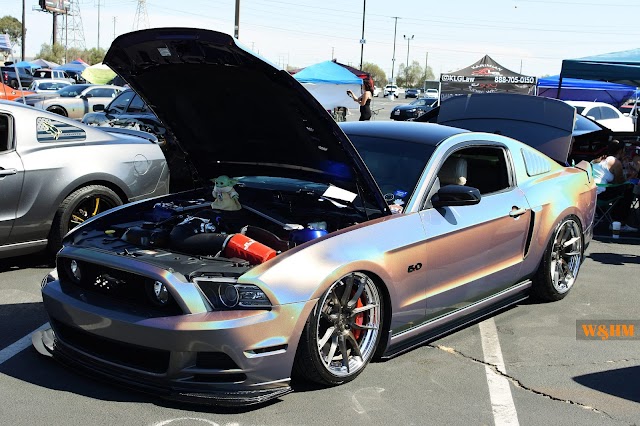 (@razorcrest_5.0) 2014 Ford Mustang GT Show Car at Racewars LA, Irwindale, CA #racewars