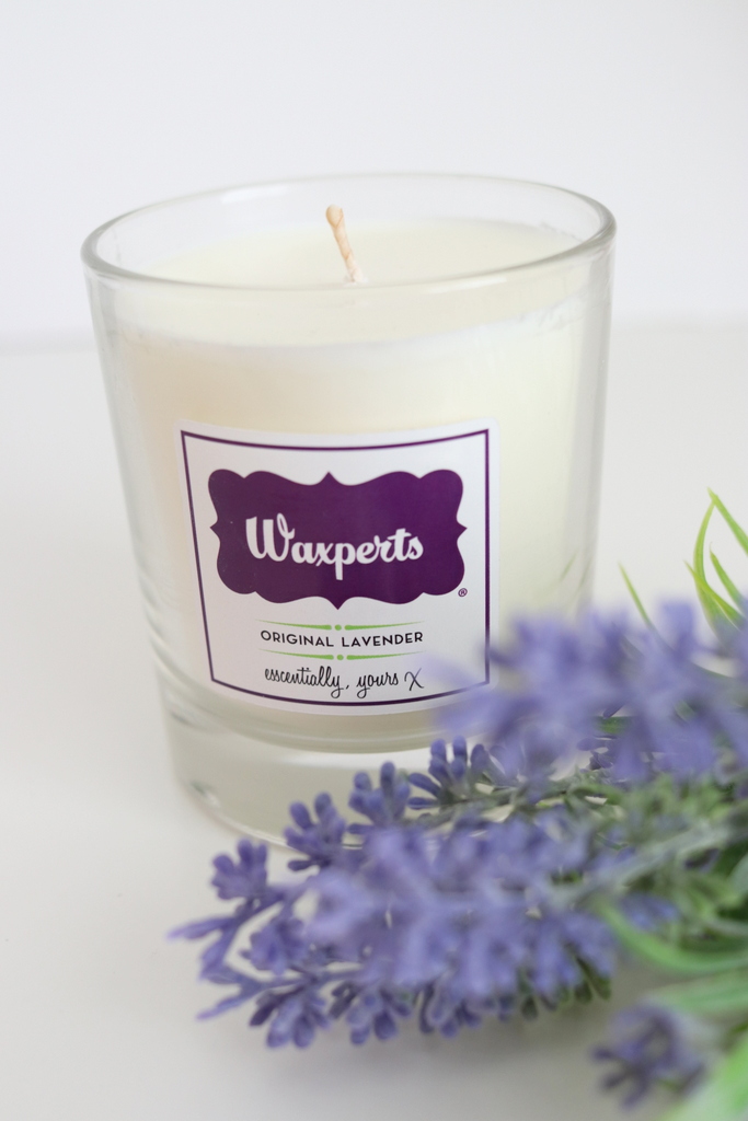 Waxperts Original Lavender Candle