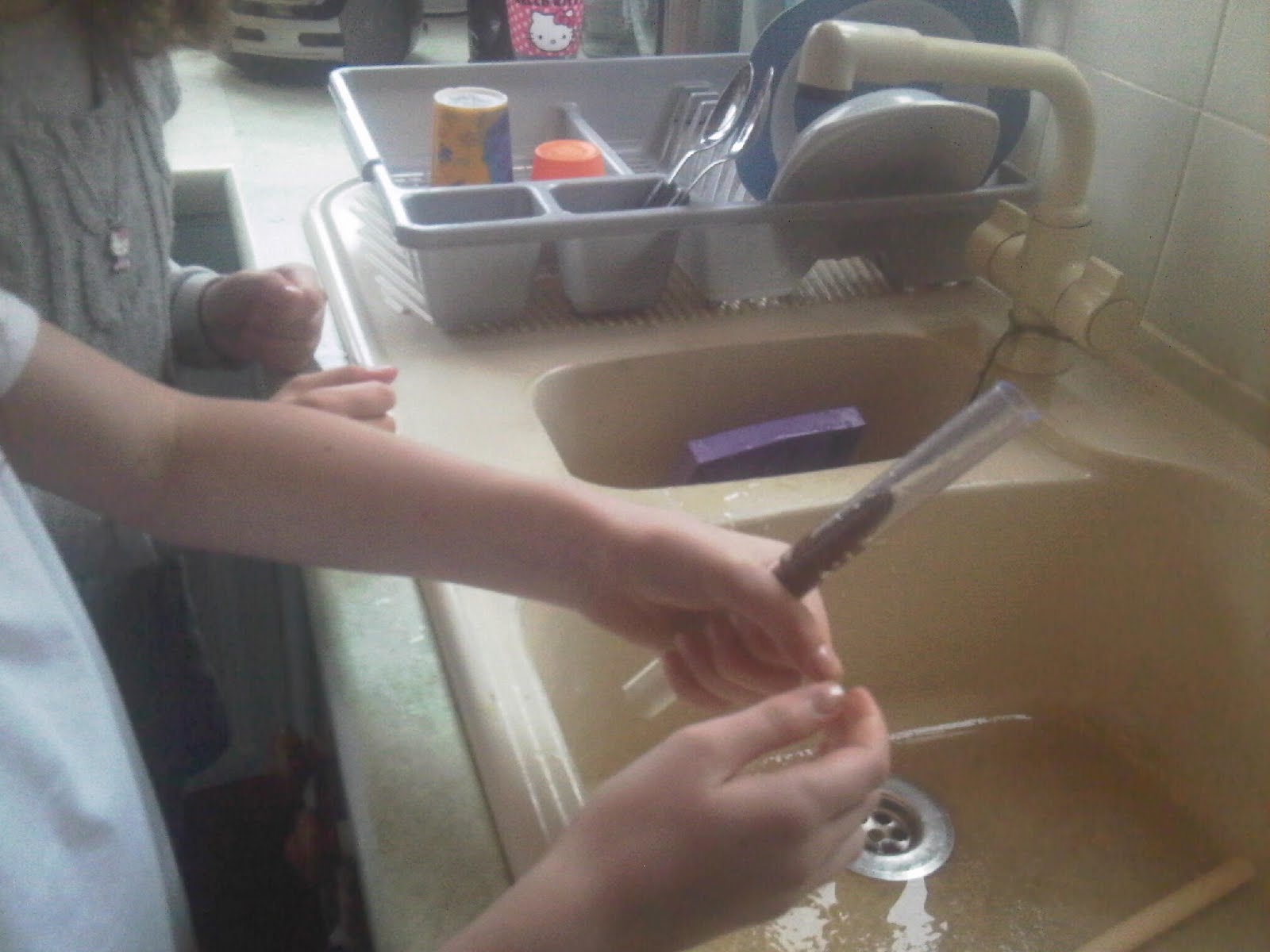 4 kids, 2 guinea pigs one happy family Wee, poo and nest building