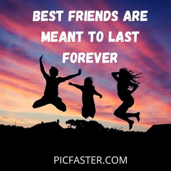 Extensive Compilation of 4K Friendship Images for Whatsapp DP - Discover  the Best 999+ Collection of Friendship Images for Whatsapp DP