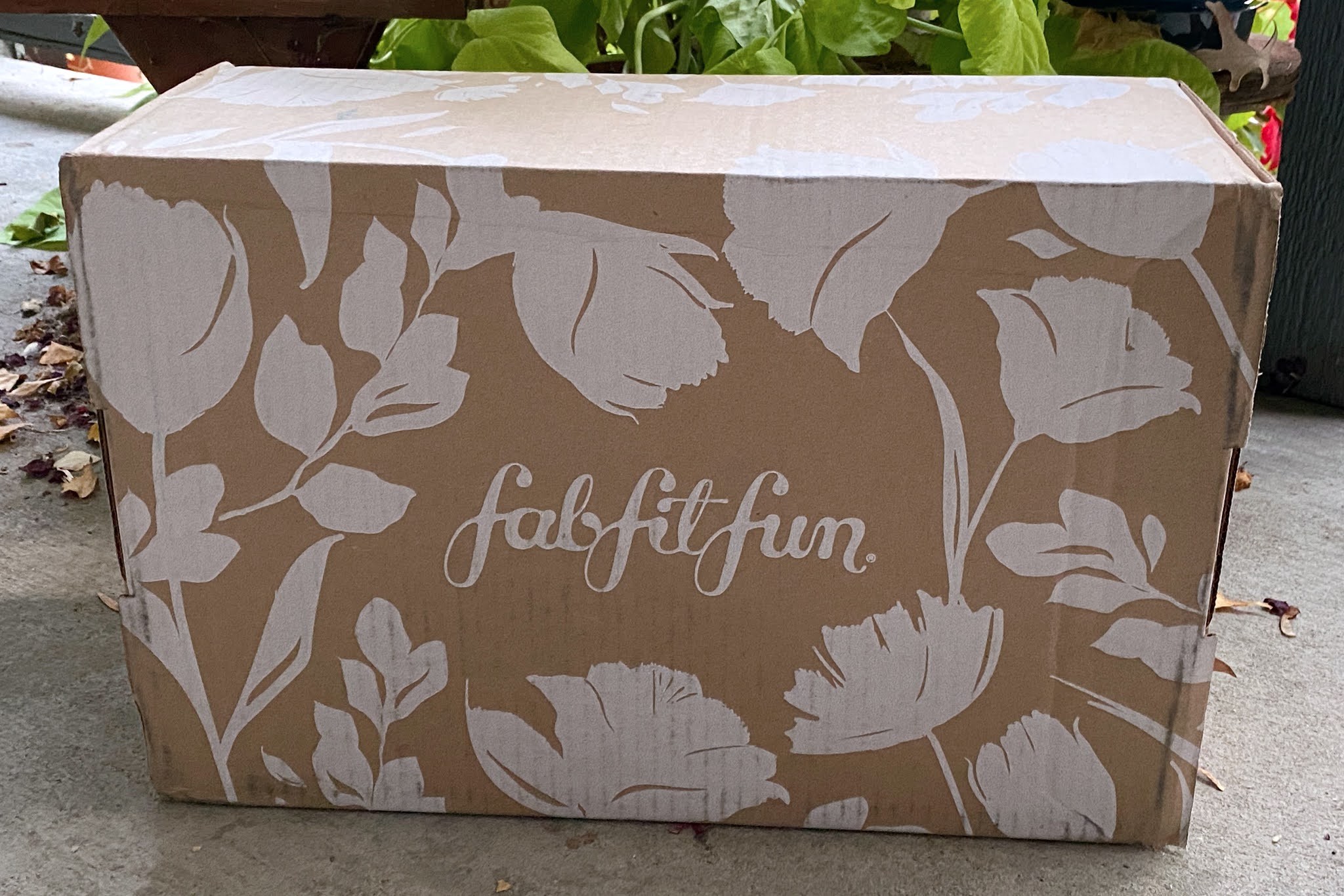 [Stretch] Honest Real Review of FabFitFun Fall 2020 Members Picks Box
