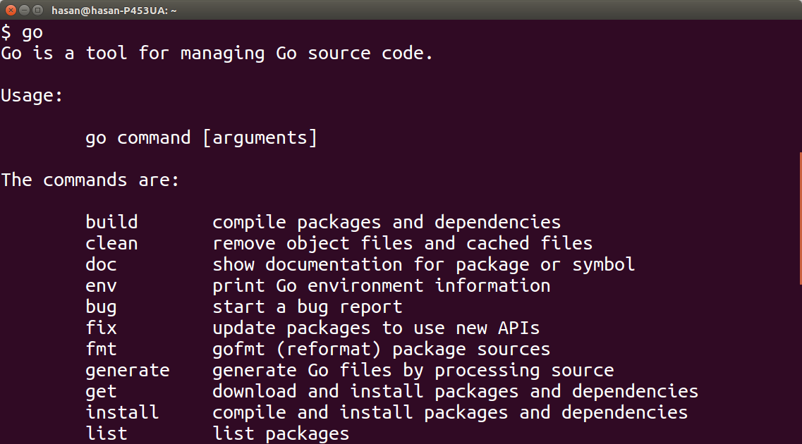 Go programming language running in ubuntu terminal Go programming language running in ubuntu terminal