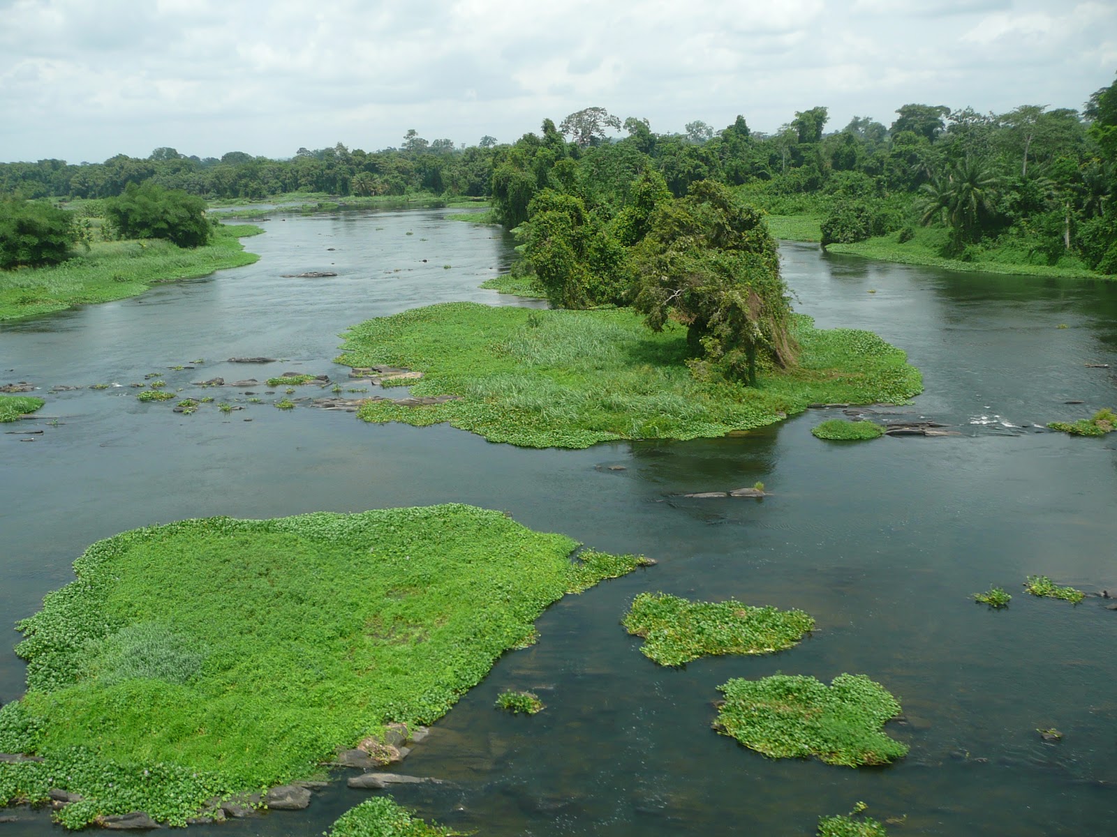 Nos voyages au pays des cîmes La Côte d'Ivoire vue du ciel