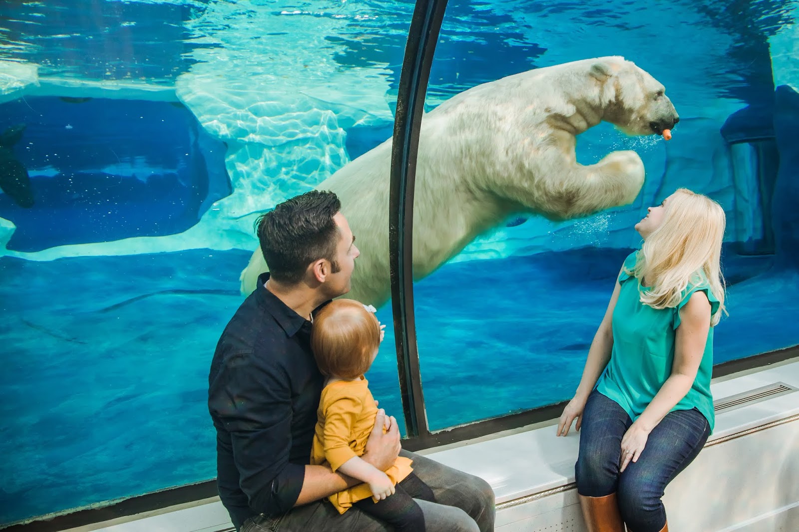 Spend Your Summer at the Detroit Zoo & Win A Membership Mom Among Chaos