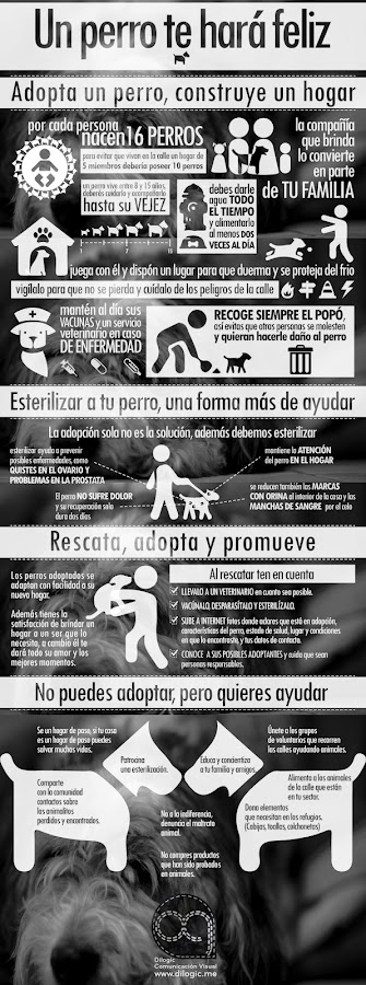 cachorros para adoptar