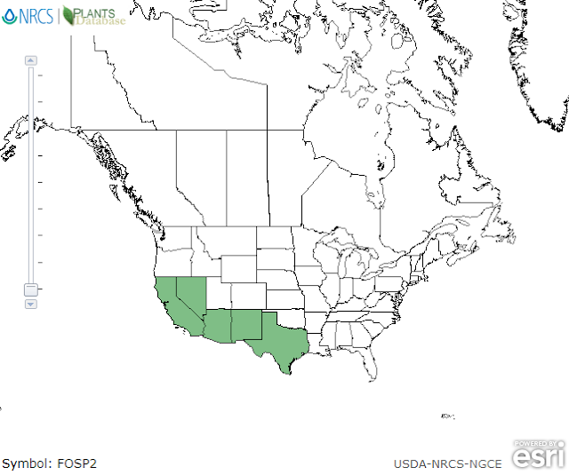 U.S. Forest Service Map of Ocotillo plant distribution