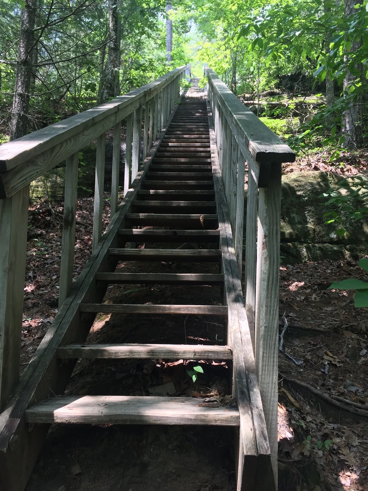 Travel Reviews & Information Kentucky Middle Fork Campground at