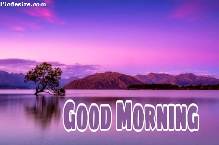 Cute Good Morning Images for Whatsapp | Best 21 Cute Good morning Photo Cute Good Morning Images for Whatsapp | Best 21 Cute Good morning Photo