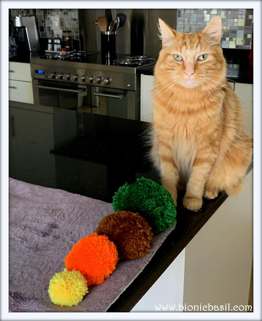 The New Autumn Pom Pom Set @BionicBasil® The Pet Parade 322