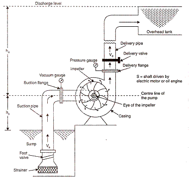 centrifugal pump diagram