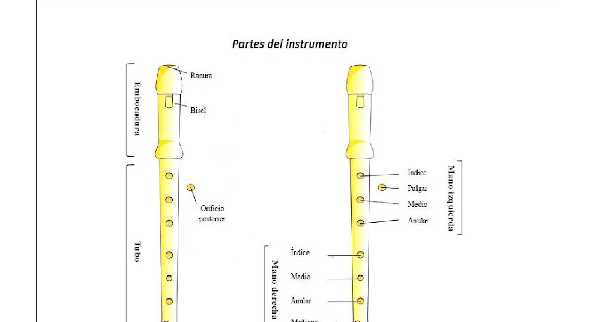 MÚSICA IDETH PARTES DE LAS FLAUTA