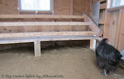 chicken poop boards coops coop roost droppings boxes chickens sand litter inside nesting chick happens because cleaner tips board effort