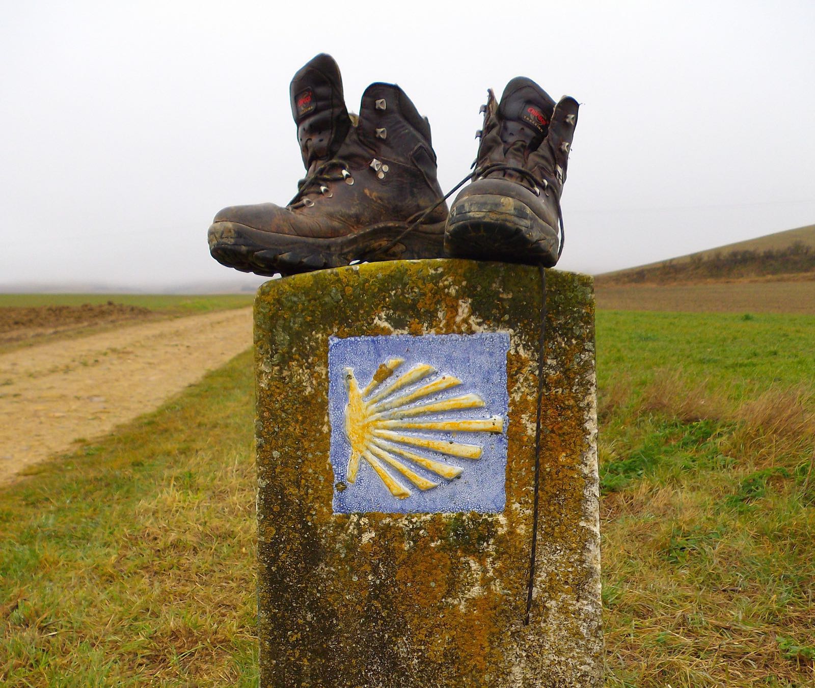 el camino de santiago el camino de santiago