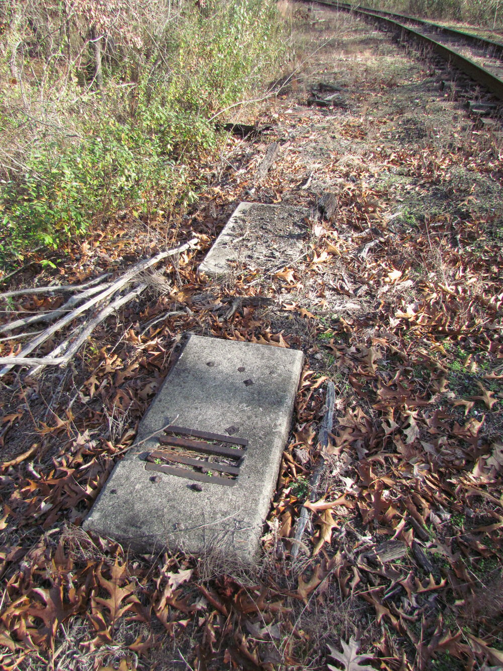 The Position Light The Gosts of Winslow Junction