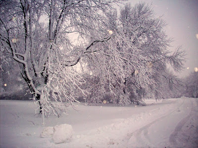 winter holiday ransome winter holiday ransome